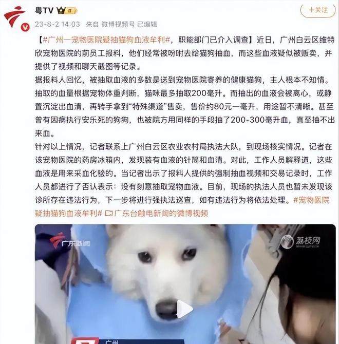 ”黑产一袋血800元抽完就抛弃触目惊心！广州曝光“移动血包(图2)