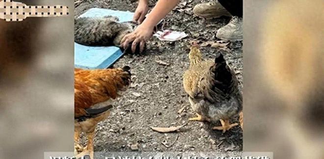 ”黑产一袋血800元抽完就抛弃触目惊心！广州曝光“移动血包(图3)