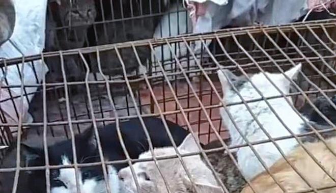 ”黑产一袋血800元抽完就抛弃触目惊心！广州曝光“移动血包(图6)