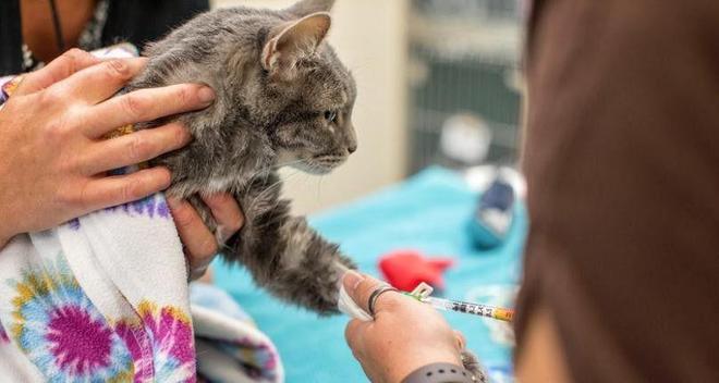 ”黑产一袋血800元抽完就抛弃触目惊心！广州曝光“移动血包(图12)