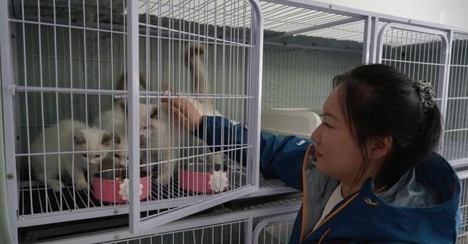 ”黑产一袋血800元抽完就抛弃触目惊心！广州曝光“移动血包(图16)