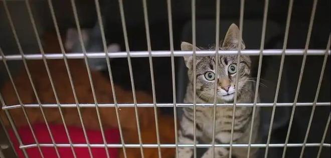 ”黑产一袋血800元抽完就抛弃触目惊心！广州曝光“移动血包(图20)