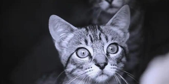 ”黑产一袋血800元抽完就抛弃触目惊心！广州曝光“移动血包(图19)