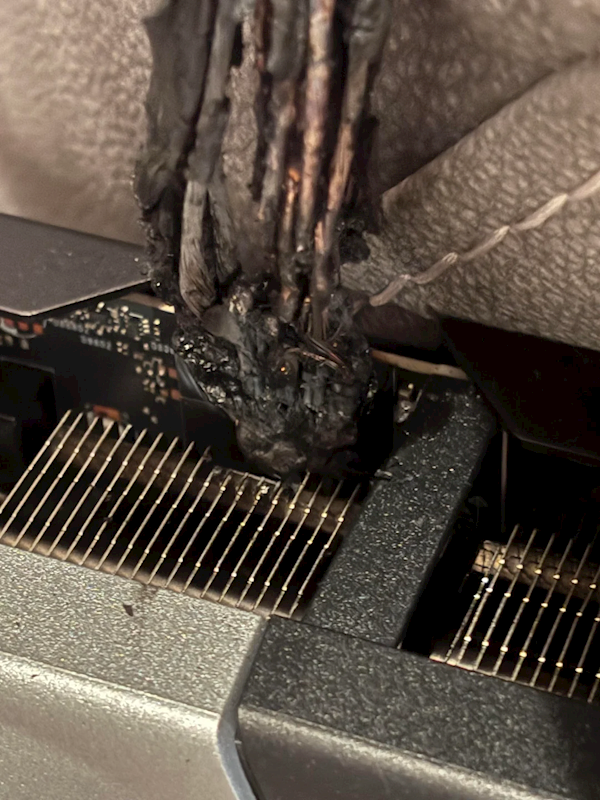 2月28日B2025年1(图26)