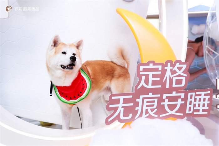 降深圳以科技引领安睡体验新范式“罗莱 安睡实验室”主题快闪空(图8) 降深圳以科技引领安睡体验新范式“罗莱 安睡实验室”主题快闪空(图8)